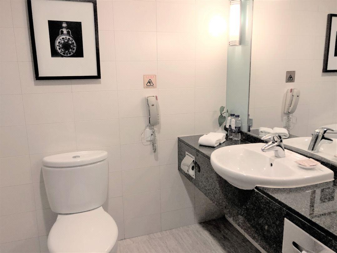 שיאן Grand Dynasty Culture Hotel Xi'An מראה חיצוני תמונה
